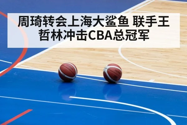 周琦转会上海大鲨鱼 联手王哲林冲击CBA总冠军